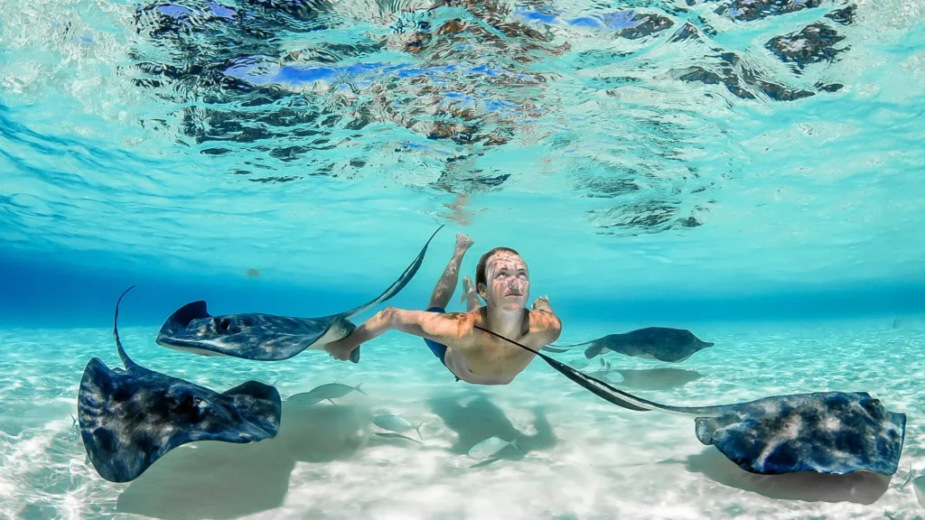 Sting Ray City in Rum Point